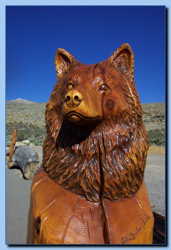 1-41 wolf bust
